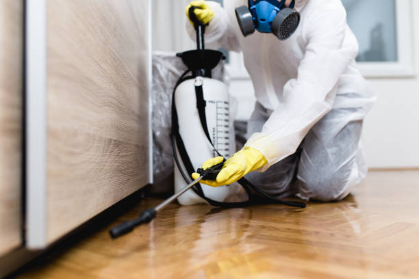 Best Wasp Removal Services  in West Islip, NY